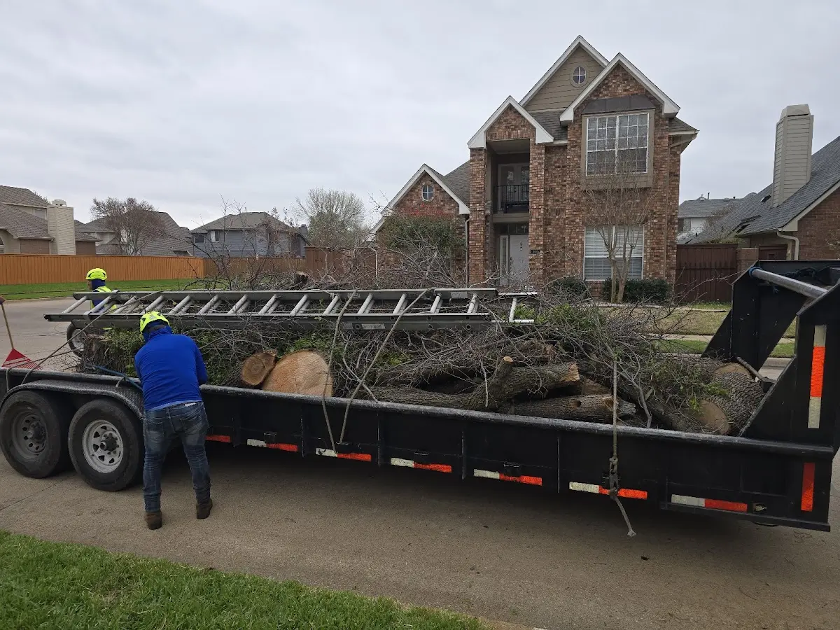 Expert Tree Fertilization with proper safety equipment in Gobles